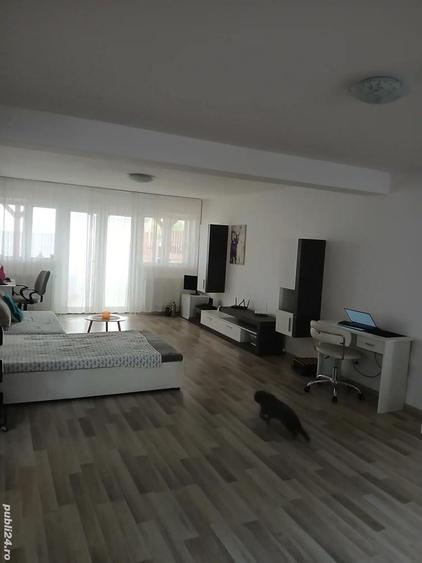 Inchiriez casa Mo?ni?a - 2