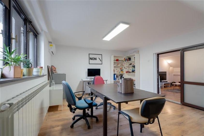 Vila Eleganta in Copou  Locuinta sau Birou! - 1