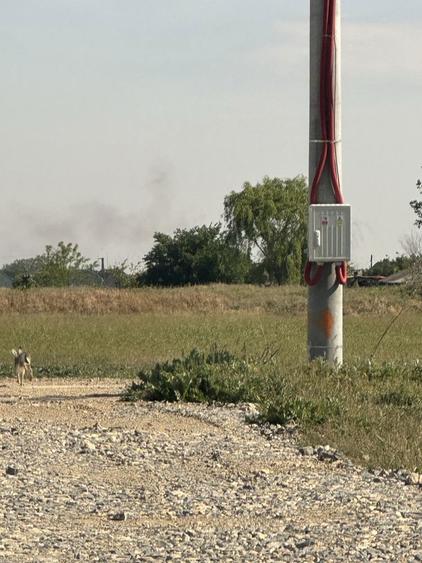 Loc de casa intravilan 1000 mp, utilitati, Zimandcuz, 10 km de Arad - 2