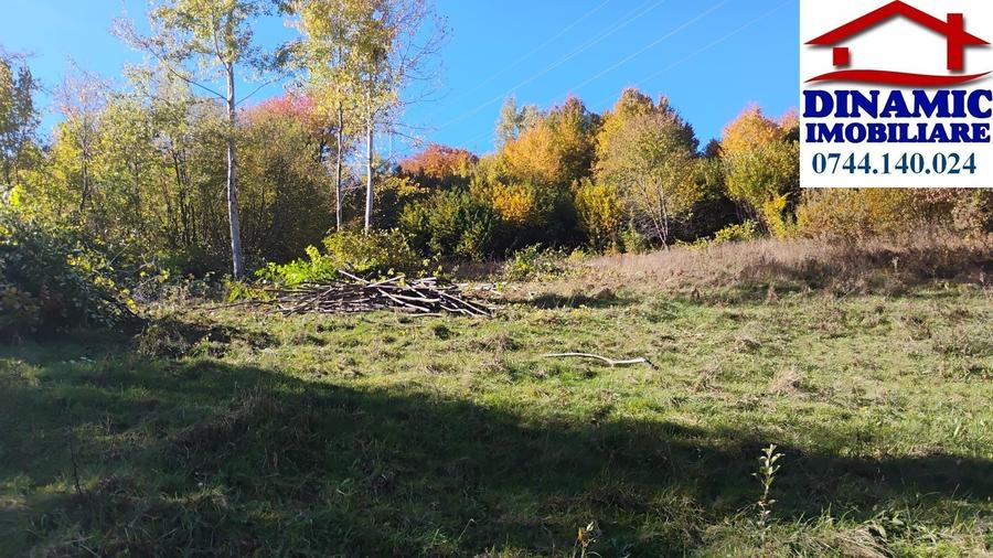 Teren intravilan de 3600 mp, în Bistrița