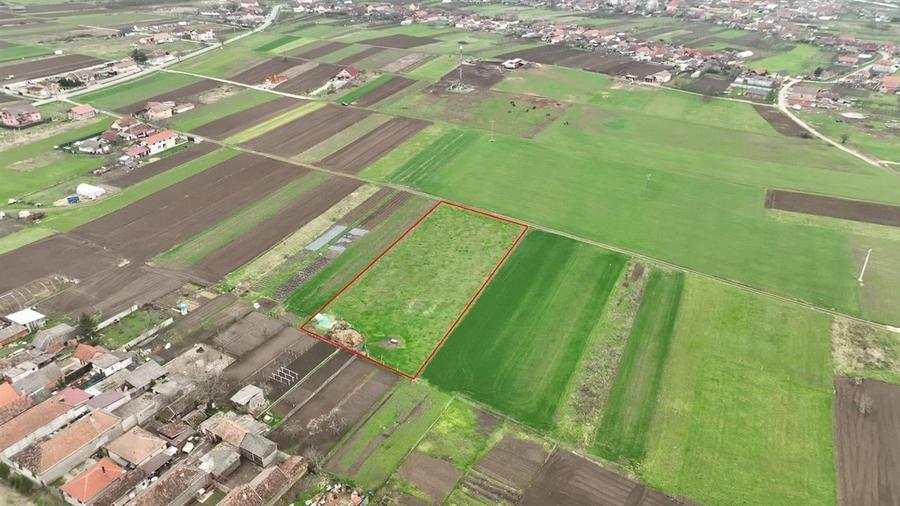 RECO Teren intravilan Girisu de Cris - 5