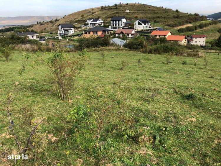 Teren Intravilan cuprins in PUG, 5100 mp, Tauti - 5