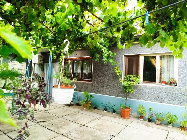 Casa de vanzare in Gradiste - 5