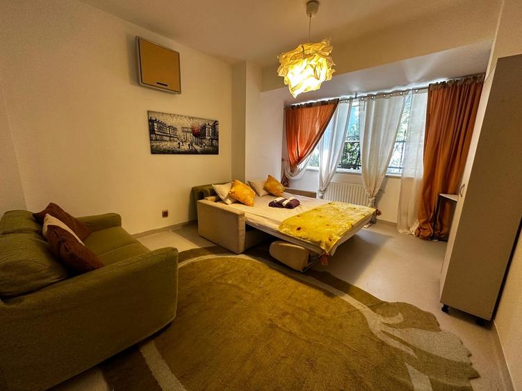 Vila individuala Victoriei pretabil birouri clinica restaurant rezidenta - 43