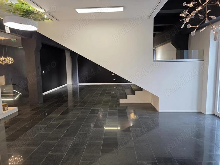 Spa?iu comercial Traian Vuia - 6