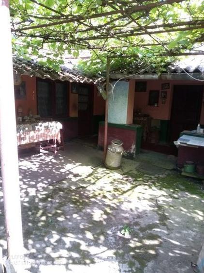 Casa de vanzare in Merii Petchii, Nuci, jud Ilfov - 6