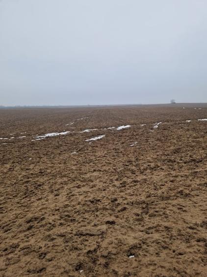 Teren de vanzare 2.500 mp – Malu Mare - 2