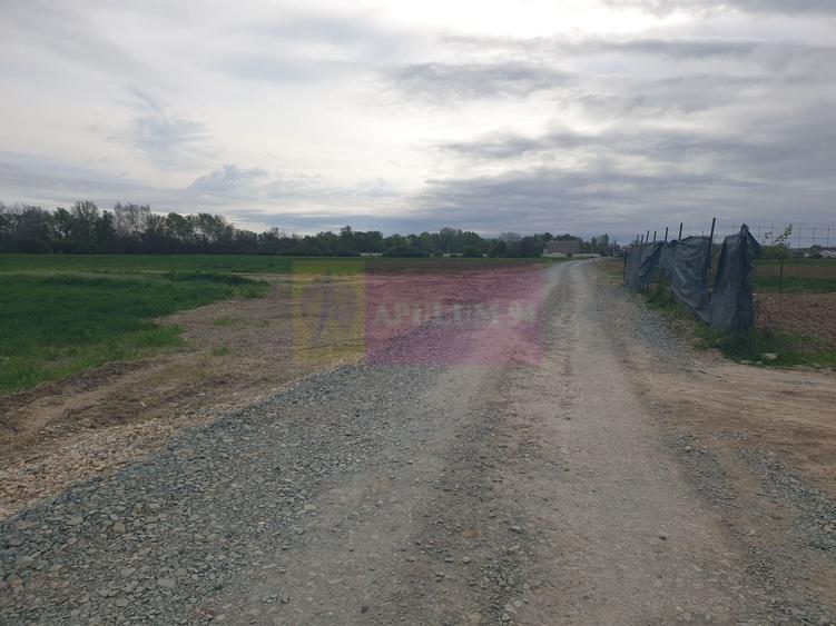 Teren ideal dezvoltare imobiliară în Măgurele strada Atmosferei - 13