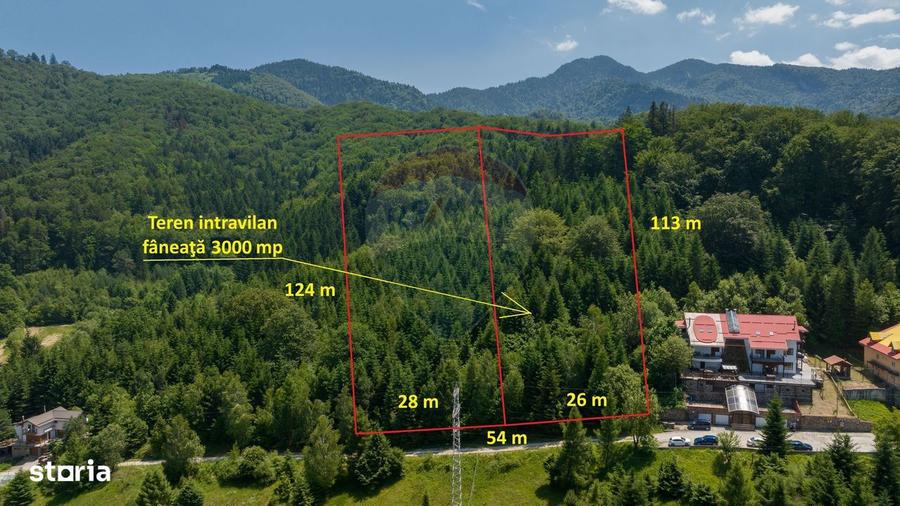 Teren intravilan, 3000 mp, Dambu Morii - 8