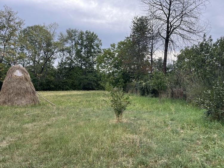 Teren intravilan 2.500 mp Buciumeni, Dambovita - 3