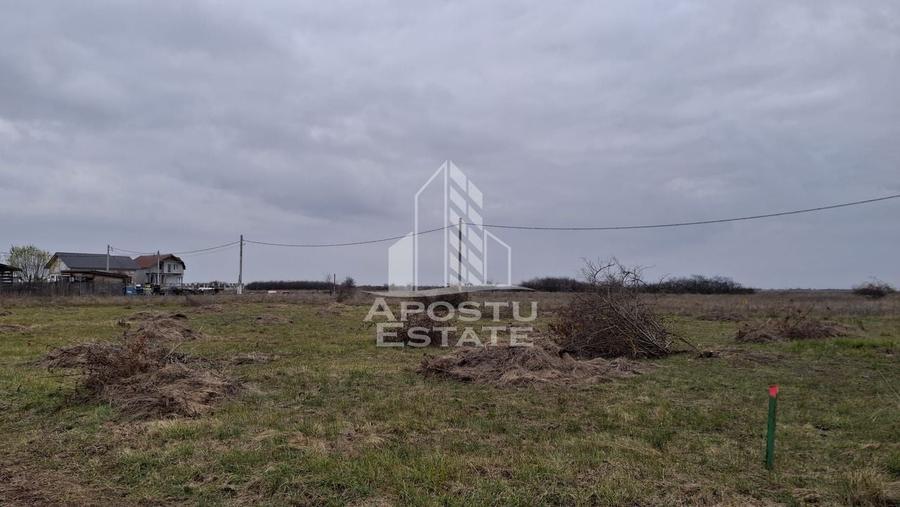 Teren intravilan 500mp Mandruloc - 4