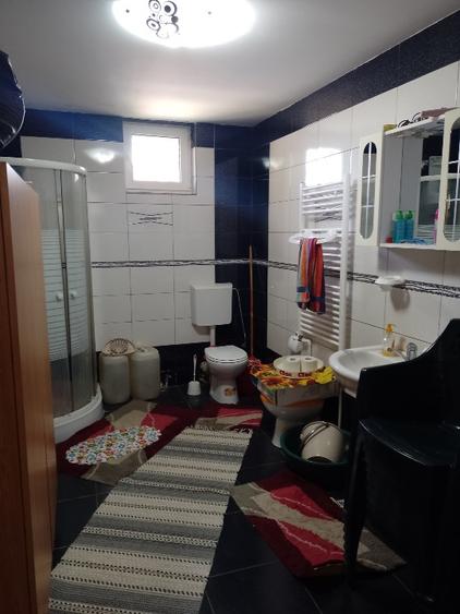 Casa de vânzare în comuna Romanu - 7