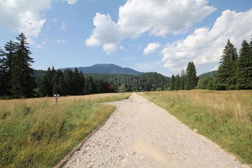 Poiana lui Manole - teren Intravilan - 18