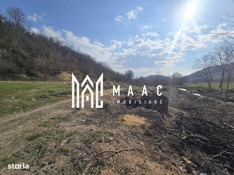 Teren 2317 mp INVESTITIE Sibiel - 4