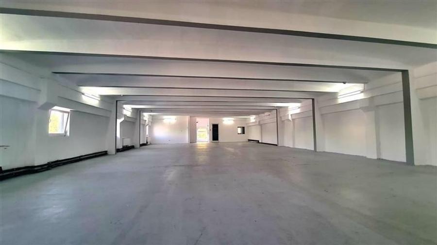 Cladire comerciala 760 mp la artera, zona IULIUS MALL - 6