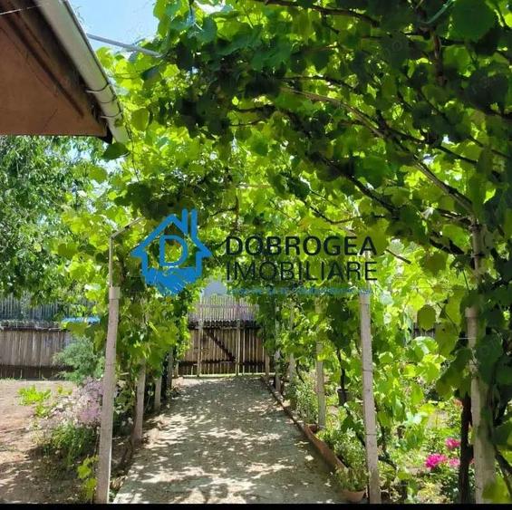 CATALOI - CASA 3 CAMERE, SUPRAFATA 76,50 MP, TEREN 2250 MP - 3