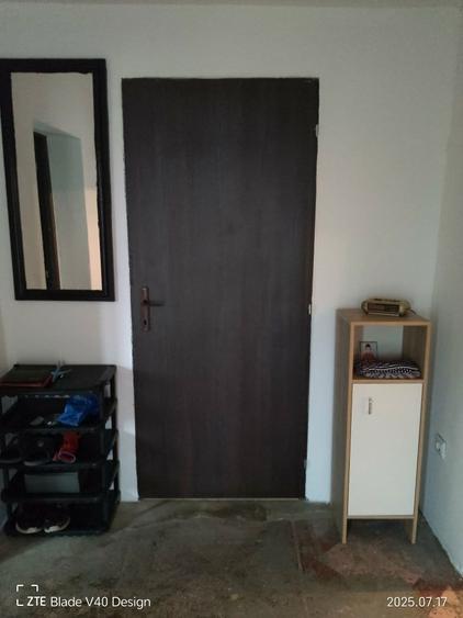 Casa si gradina de vanzare - 2