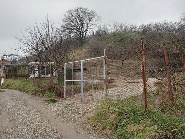 Teren intravilan 500 mp Oradea cu toate utilitatile 32500 euro - 6