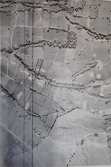 5800 mp fineata, pretabil camping, constructii A-frame, Sohodol, Bran