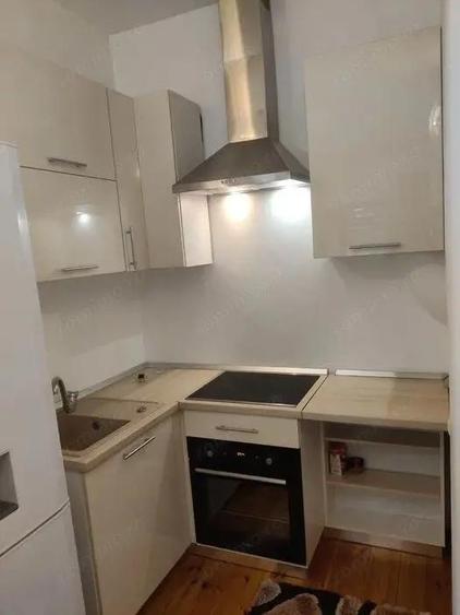 Ultracentral - Inchiriere apartament 1 camera - Str. Calarasilor - 5