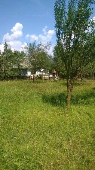 Casa ?i teren de vanzare - 10