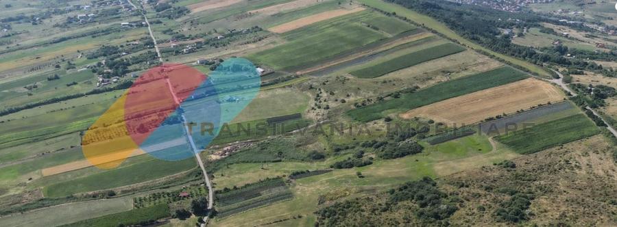 Teren extravilan de 30.000 Mp, zona Valea Chintaului - 1
