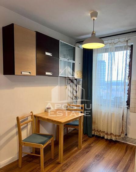 Apartament 1 camera, centrala proprie, Iulius Mall - 4