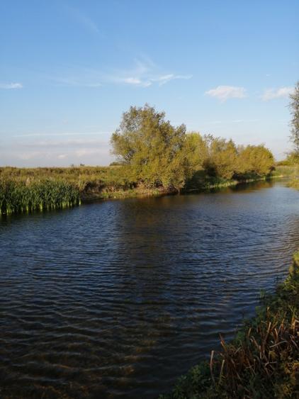 De vanzare teren cu Luciu de apa,  ideal investiție în  domeniu de pescarii - 1