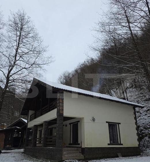 CABANA DACICA Refugiu premium la poalele Mun?ilor Dacici - 2