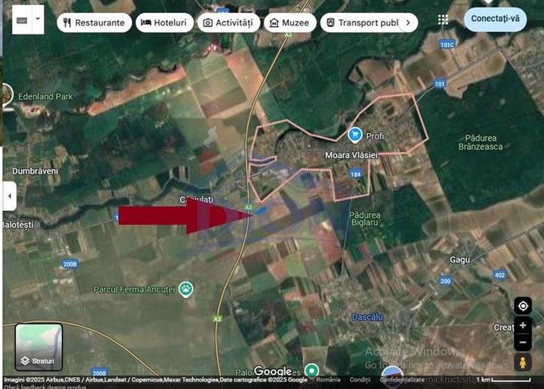 Teren Moara Vlasiei super pret, ideal pentru investitie - 3