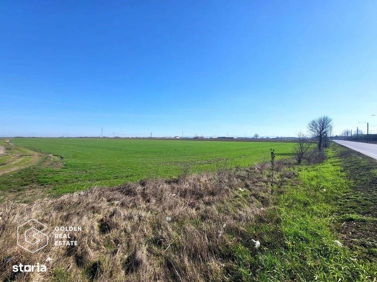 4 Terenuri extravilane, 31.400 mp - 7