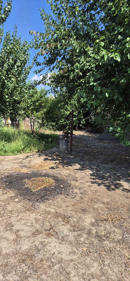 Casa batraneasca - 6