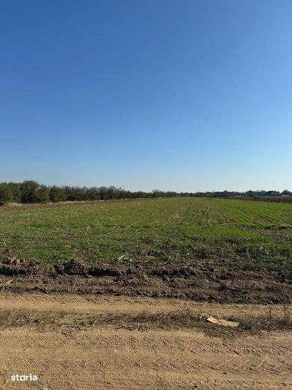 Vanzare Teren construibil MAGURELE VARTEJU 20000MP - 1