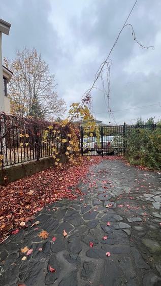 Vila cu teren 652 mp | Romatsa - 7