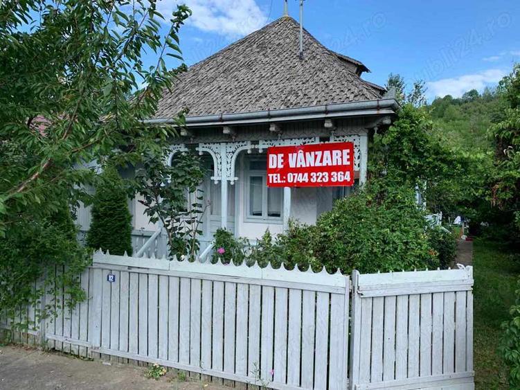 Vand casa cu teren la tara - 10
