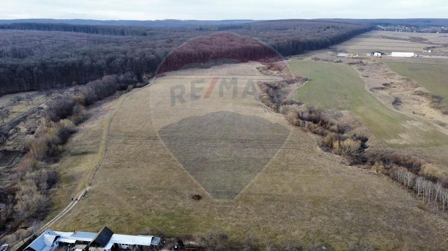 Teren 2925 mp comuna Mitocu Dragomirnei - 9
