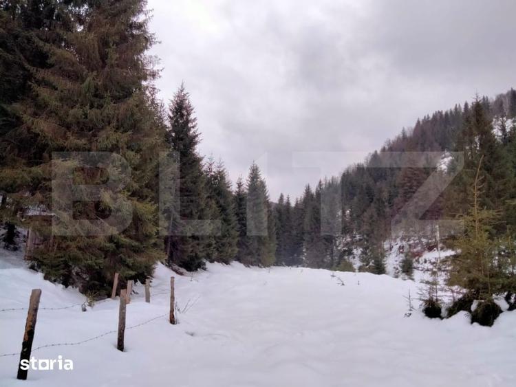 Cabana la marginea padurii Arieseni, Dealul Bajului - 7