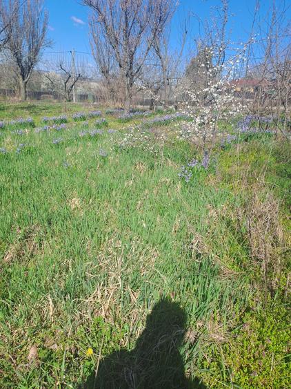 Intravilan 2200m - 1