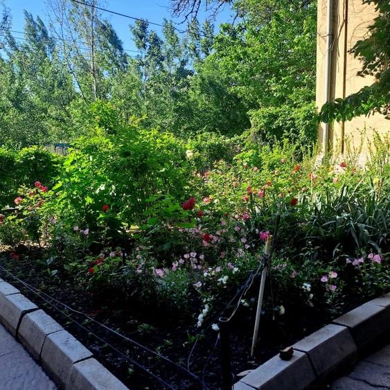 Apartament 2 camere | piata Victoriei | 55mp - 6