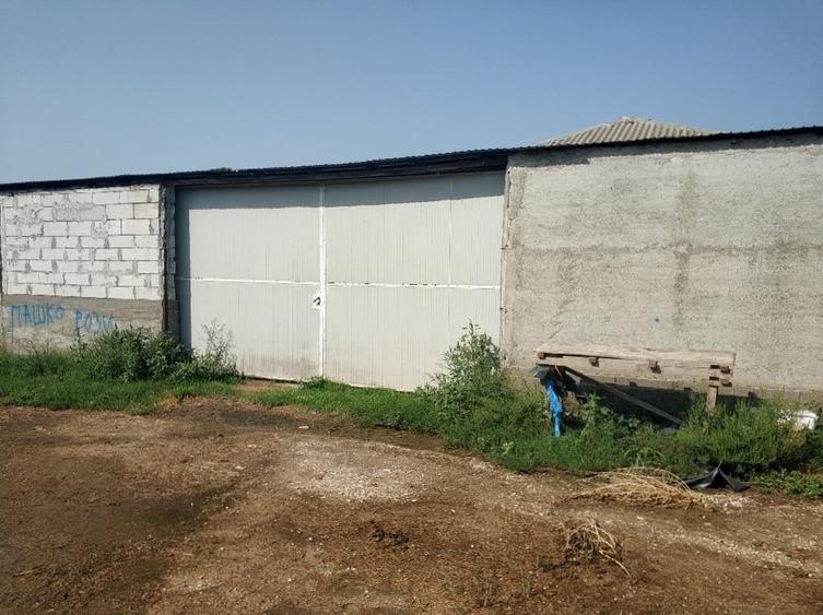 Ferma cu hale 3000 mp si teren 12000 mp, 30 km de Constanta - 12