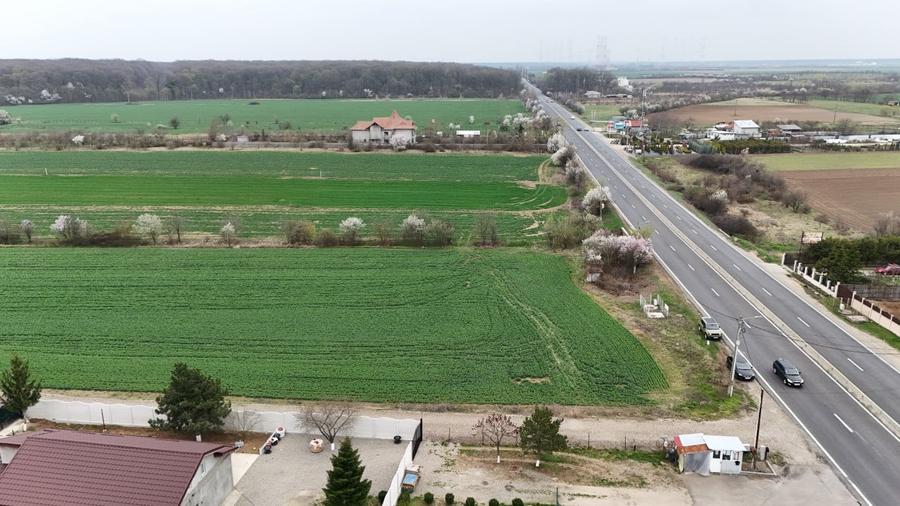 0% | Teren intravilan, 4563 mp, front 25 m, utilitati | Potigrafu PH - 9