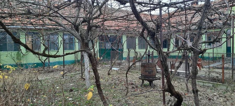 Vand casa cu teren 5725 mp, livada 100 pomi fructiferi, hala 220 mp in Dragoiesti, jud Timis - 3