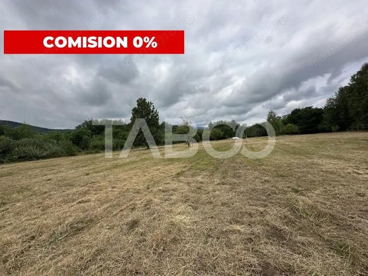 Teren intravilan 8000 mp cu anexa gospodareasca in Vistisoara - 2