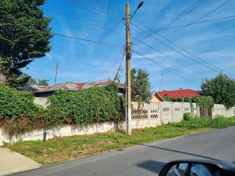 Vanzare Teren intravilan 500mp Cernica Balaceanca Ilfov - 1