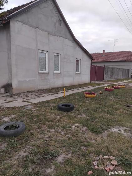 vand casa in Nadlac - 4