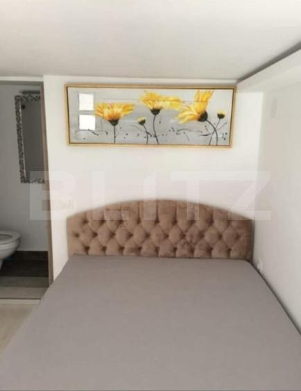 Apartament tip studio, 16,16 mp, strada piata Trandafirilor - 5