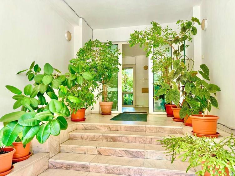 Hochparter de inchiriat | locuinta sau birouri | zona Aviatorilor - 18