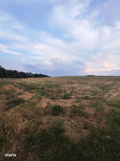 COMISION 0%!!! Teren extravilan, 7200 mp, in BAI SARATE TURDA - 2
