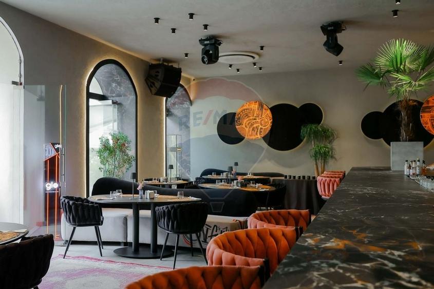 De vanzare -- Spatiu comercial parter 409 mp, Vasile Alecsandri - 28