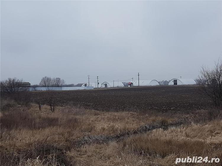 Teren de vanzare - 2